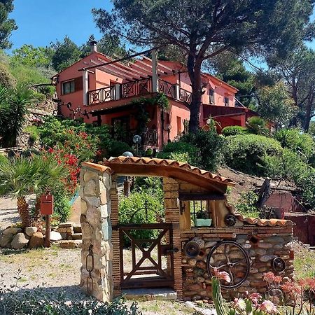 Villetta Dei Fichi D'India Rio dellʼElba Buitenkant foto