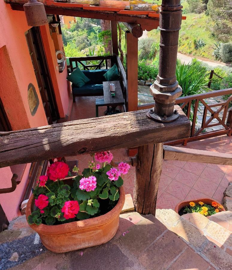 Villetta Dei Fichi D'India Rio dellʼElba Buitenkant foto