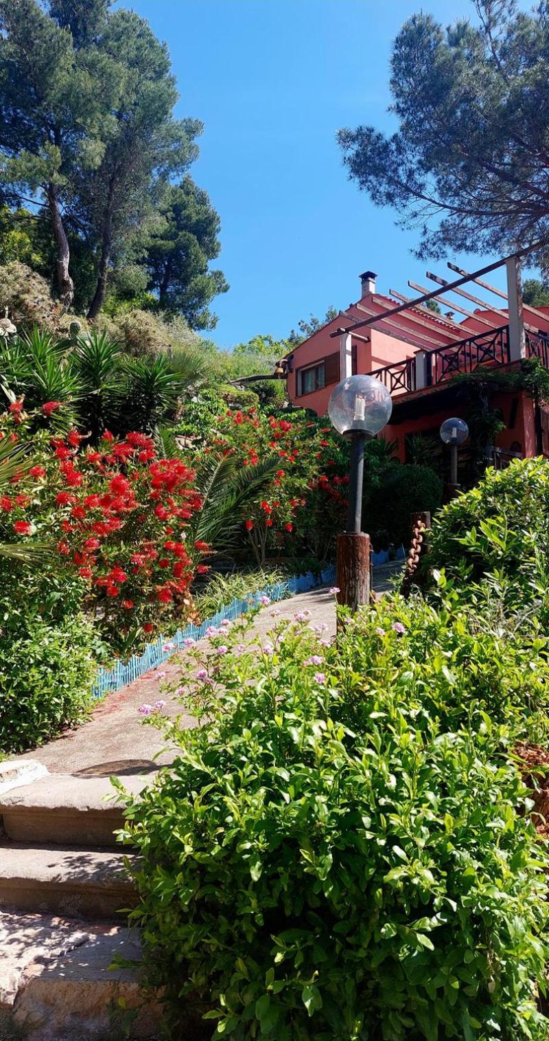 Villetta Dei Fichi D'India Rio dellʼElba Buitenkant foto