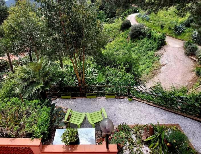 Villetta Dei Fichi D'India Rio dellʼElba Buitenkant foto